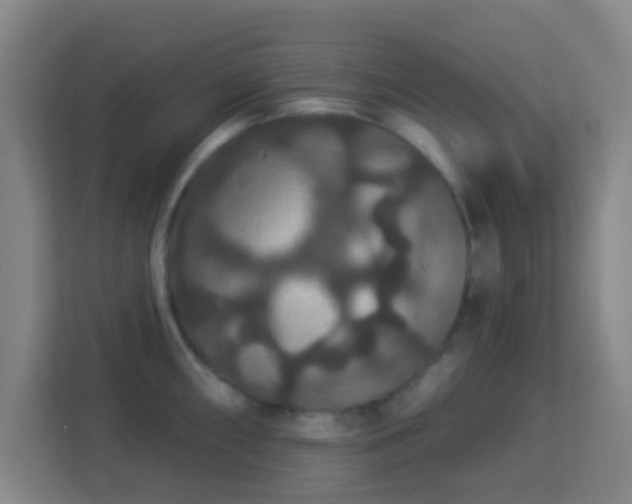 X0000113181098200909111049