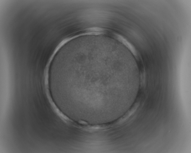 X0000113181099200909111049