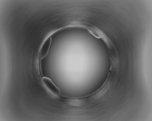 X0000113181100200909111049