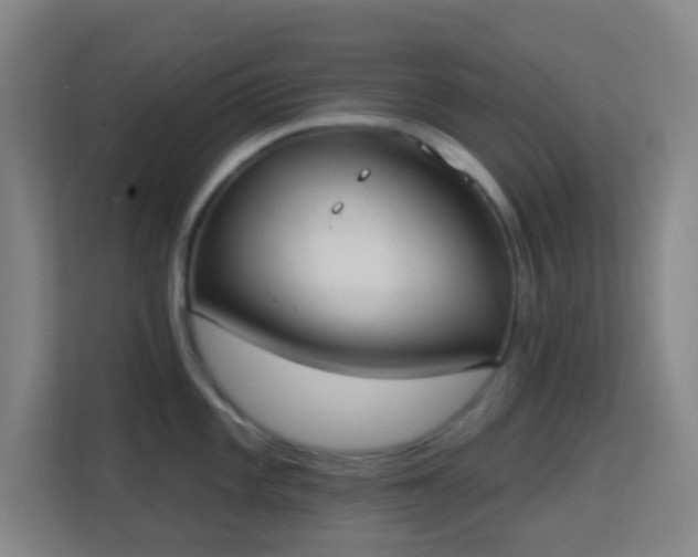 X0000113181101200909111049