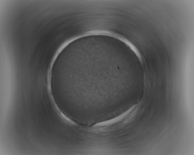 X0000113181102200909111049