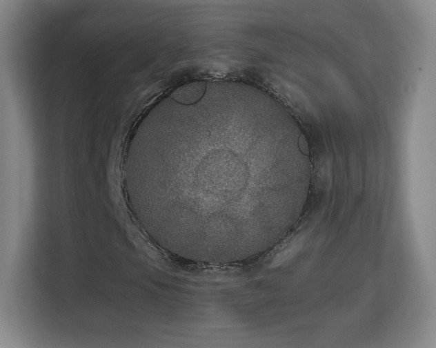 X0000113181105200909111049