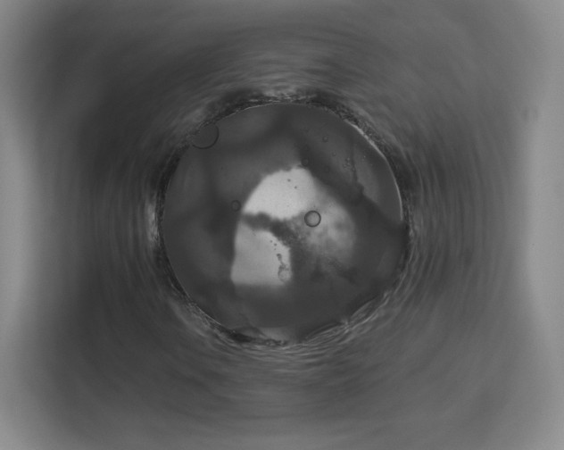 X0000113181106200909111049
