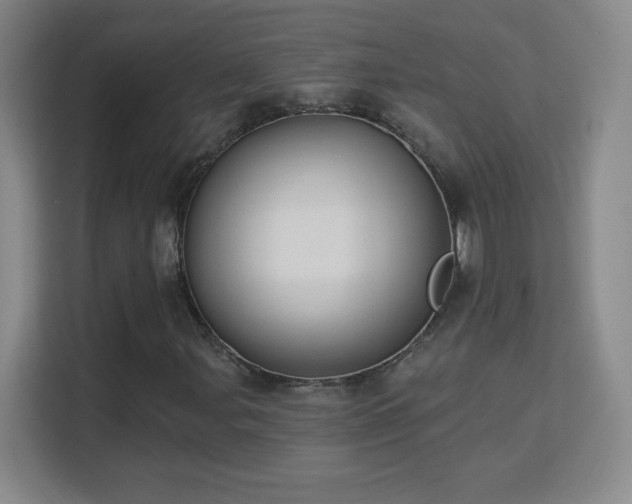 X0000113181107200909111049