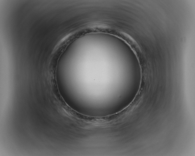 X0000113181112200909111049