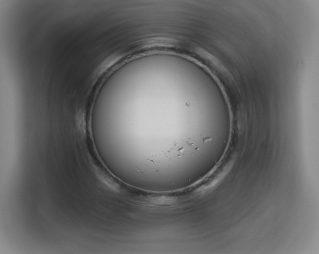 X0000113181113200909111049
