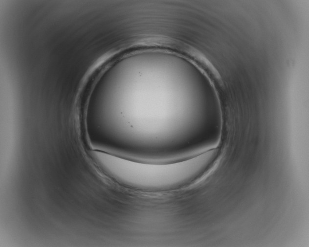 X0000113181114200909111049