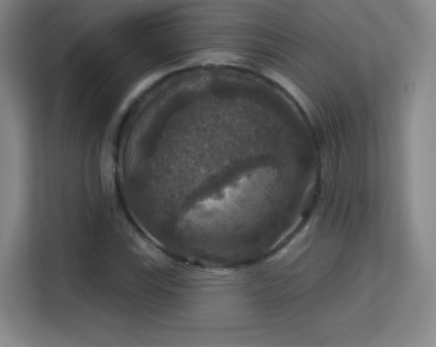 X0000113181115200909111049