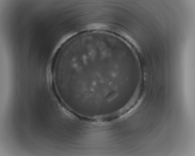 X0000113181117200909111049