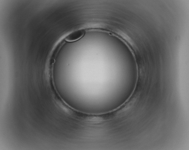 X0000113181119200909111049