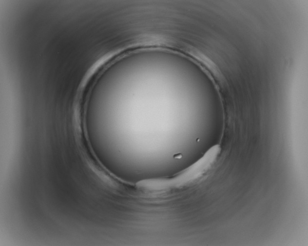 X0000113181120200909111049