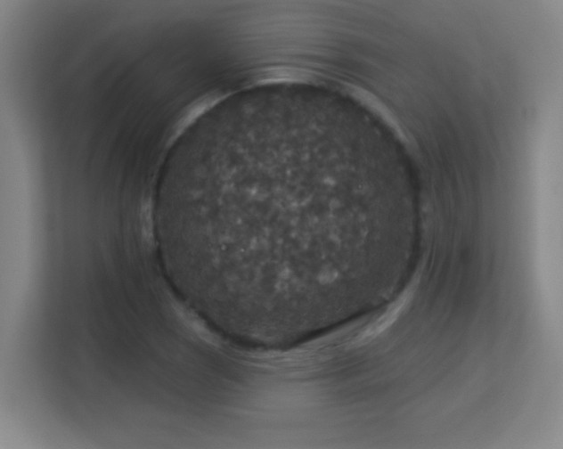 X0000113181121200909111049