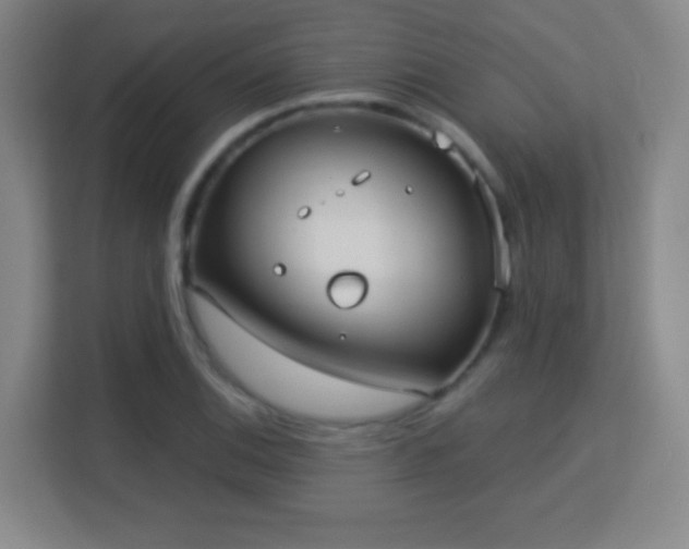 X0000113181124200909111049
