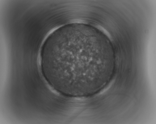 X0000113181125200909111049