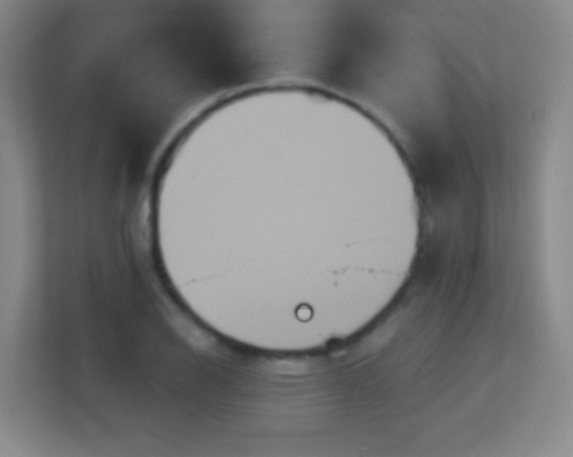 X0000113181126200909111049