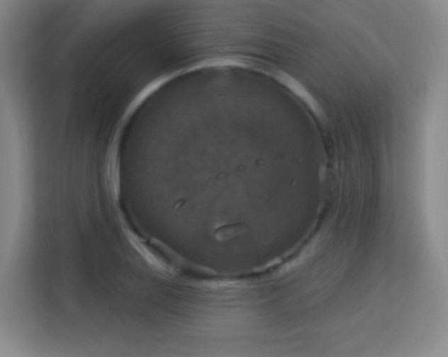 X0000113181127200909111049