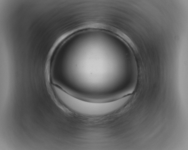 X0000113181128200909111049
