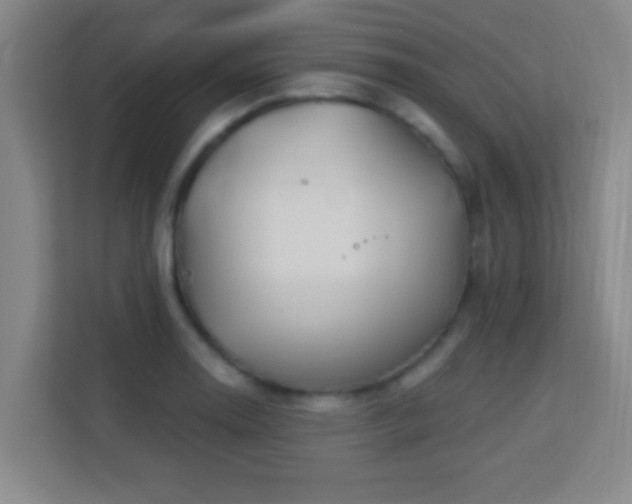 X0000113181130200909111049