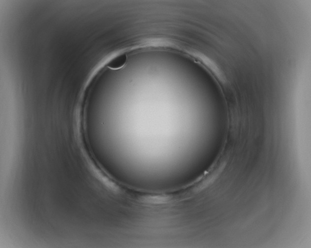 X0000113181134200909111049