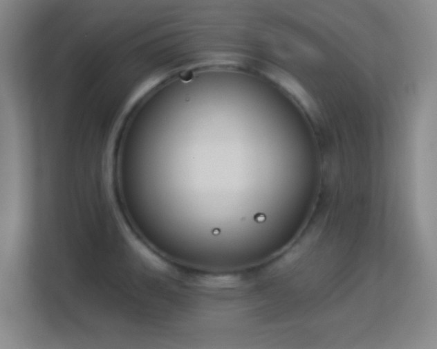 X0000113181135200909111049