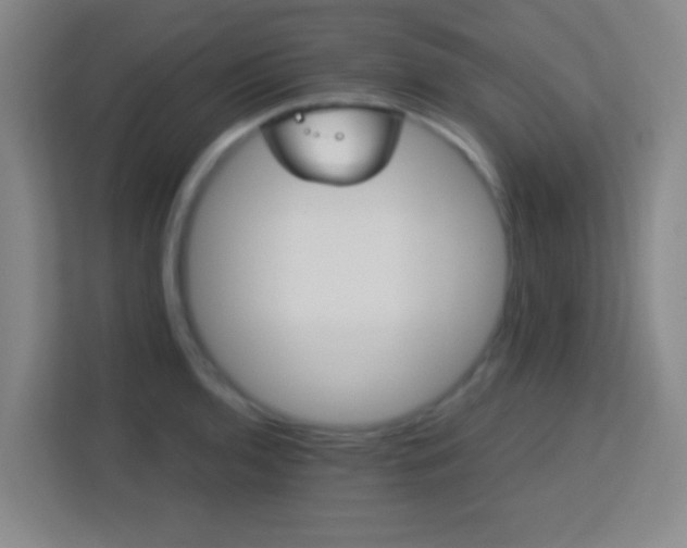 X0000113181136200909111049