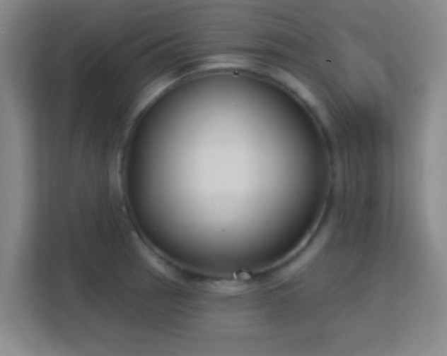 X0000113181137200909111049