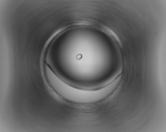 X0000113181138200909111049