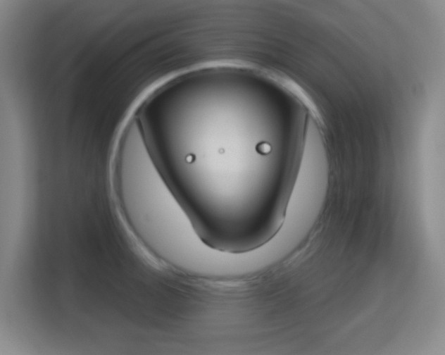 X0000113181140200909111049