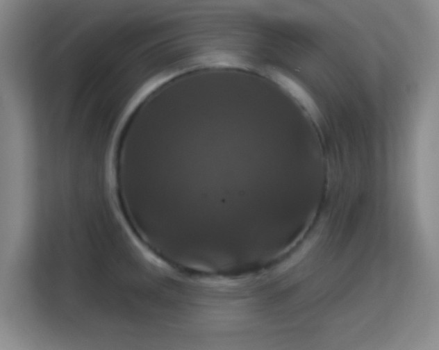 X0000113181141200909111049