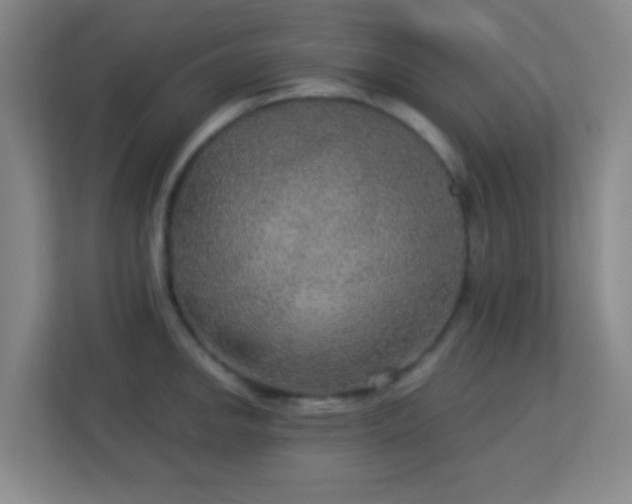 X0000113181142200909111049