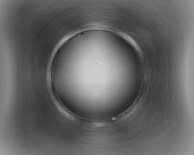 X0000113181144200909111049