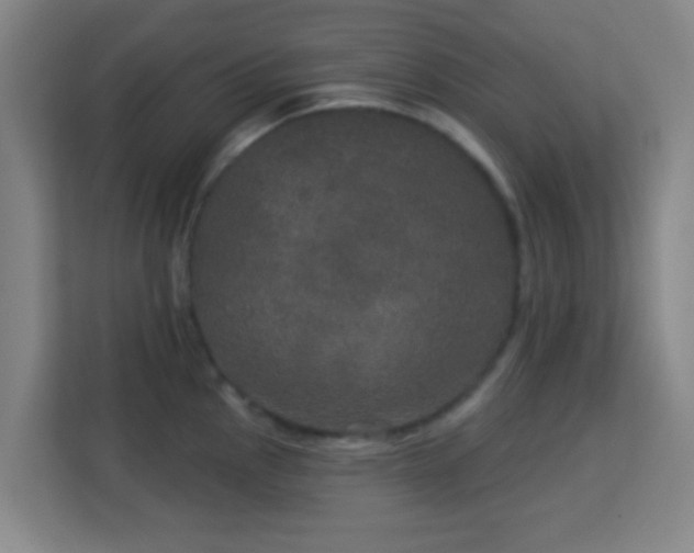X0000113181145200909111049