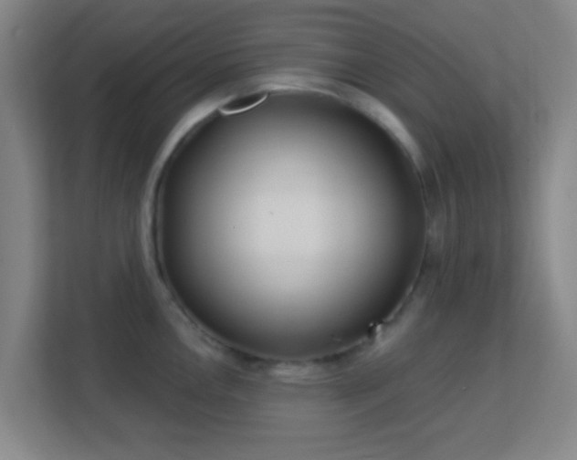 X0000113181146200909111049