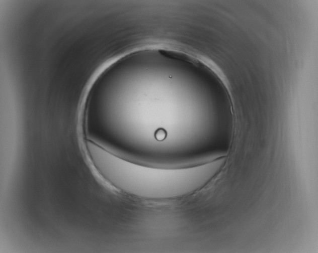 X0000113181152200909111049