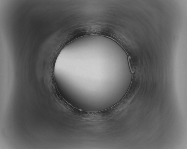 X0000113181153200909111049