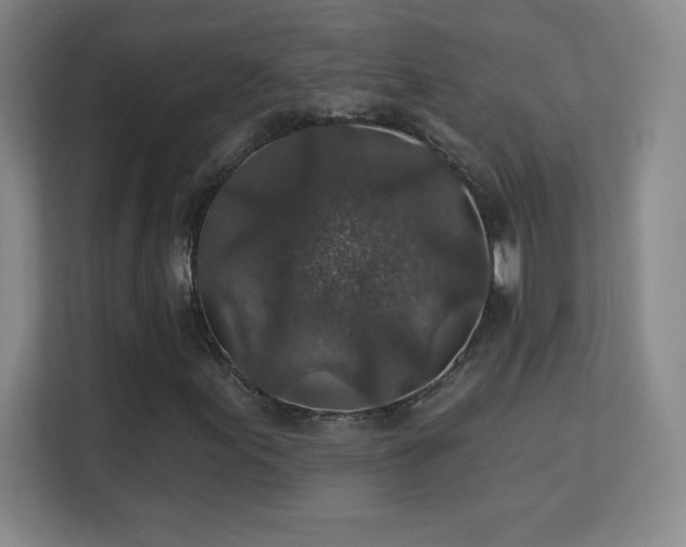 X0000113181155200909111049