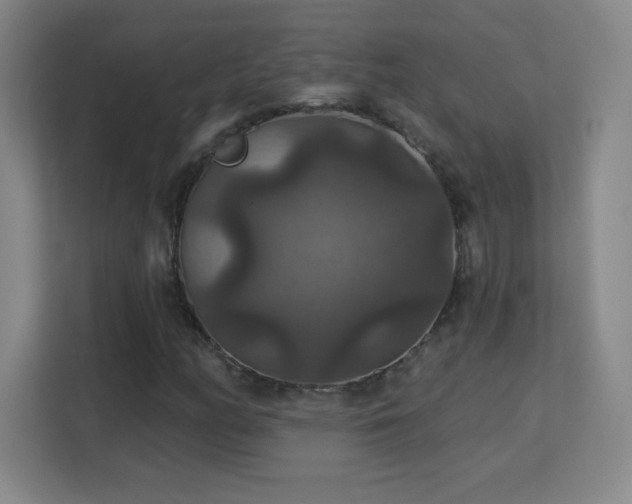 X0000113181158200909111049