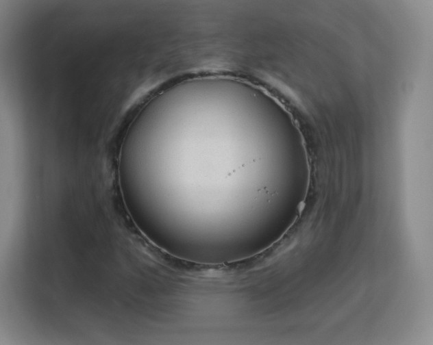 X0000113181160200909111049