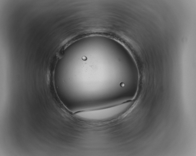 X0000113181161200909111049