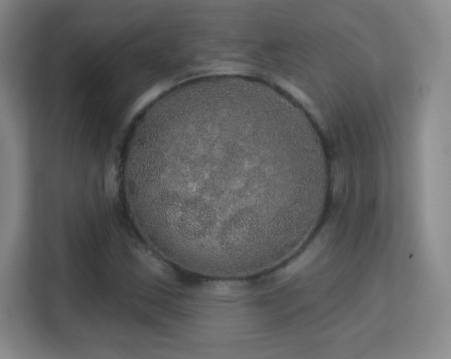 X0000113181163200909111049