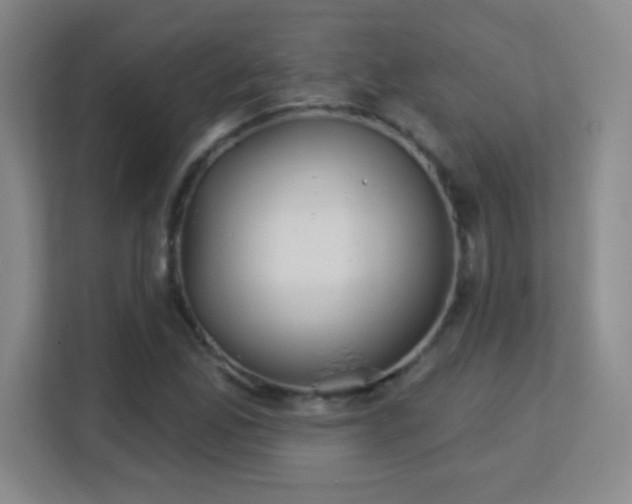X0000113181165200909111048