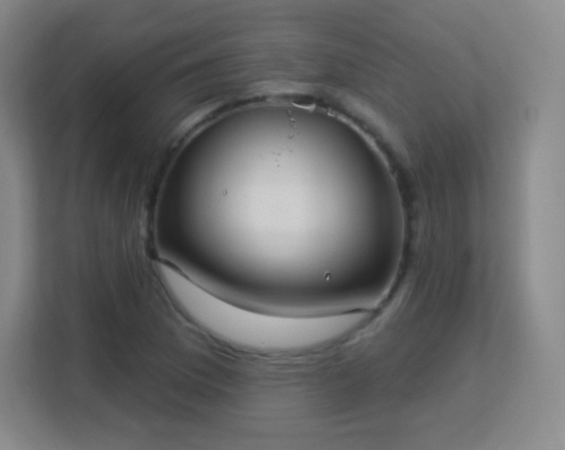 X0000113181169200909111048