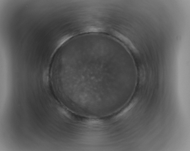 X0000113181170200909111048