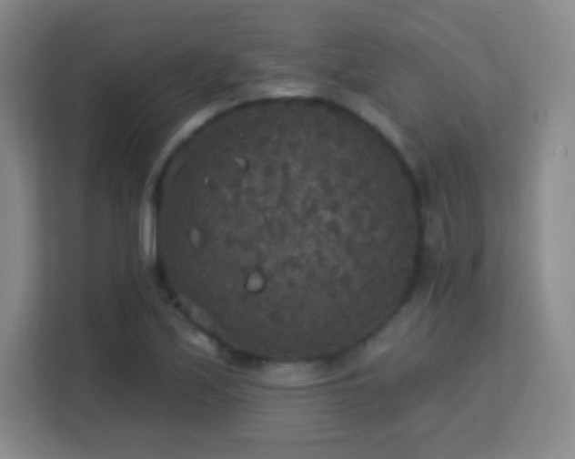 X0000113181171200909111048