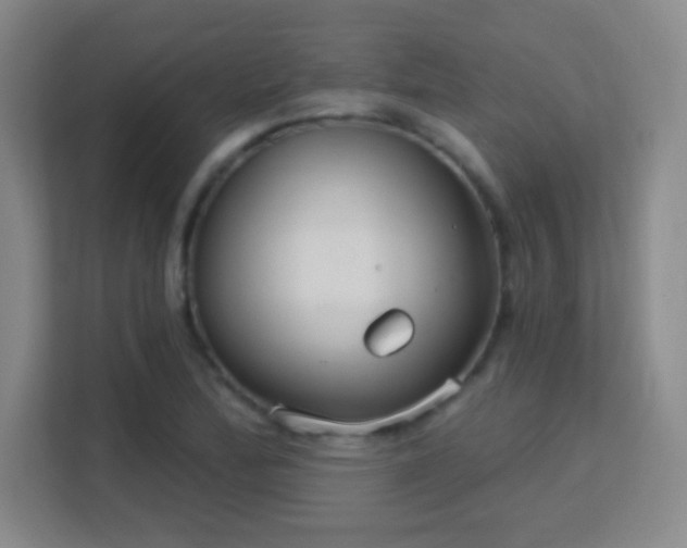 X0000113181172200909111048