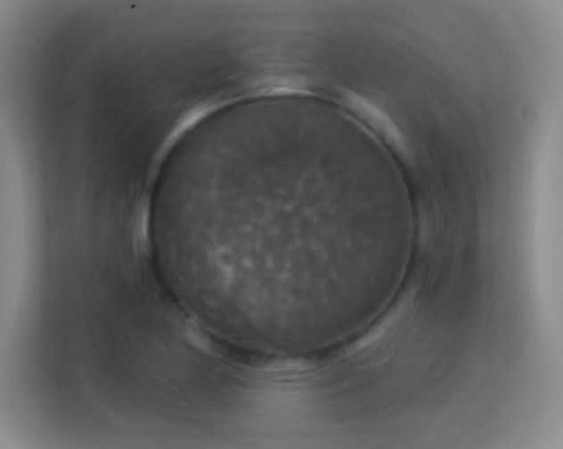 X0000113181174200909111048
