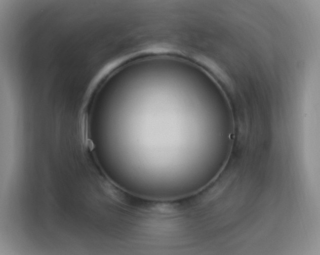 X0000113181175200909111048