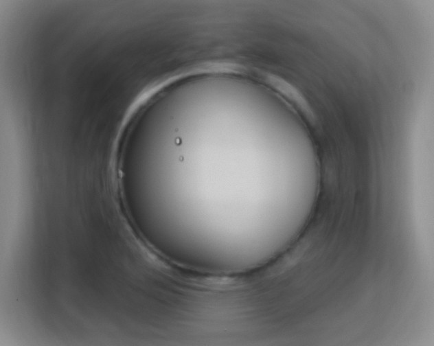 X0000113181176200909111048