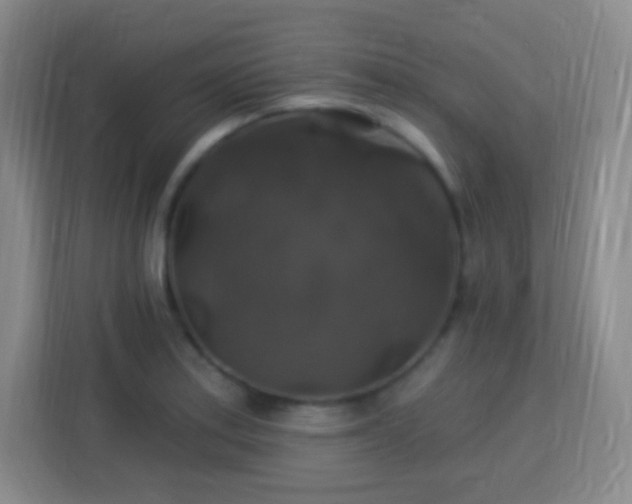 X0000113181179200909111048