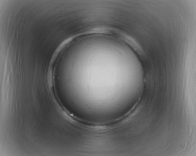 X0000113181180200909111048